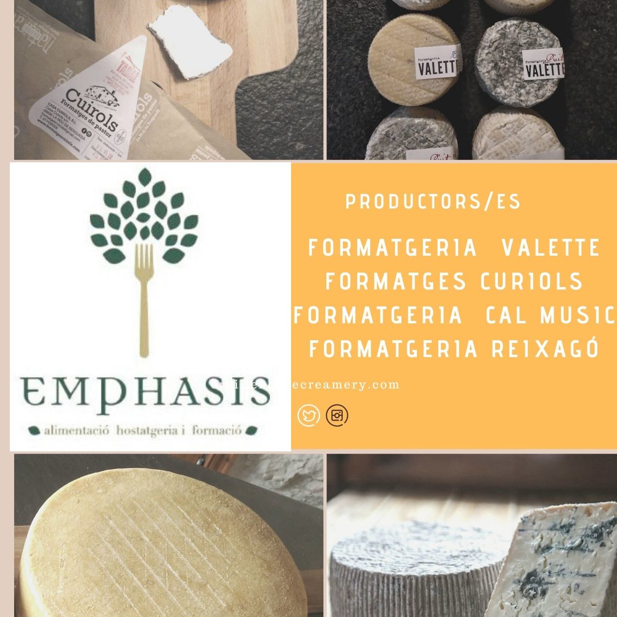 Maridatge de formatges i vins a Emphasis Casserres